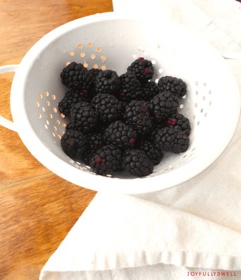 blackberries