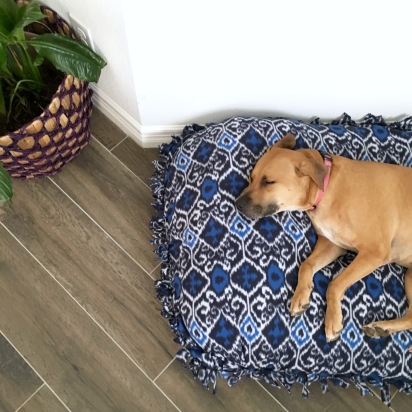 DIY No-Sew Doggy Bed Cover