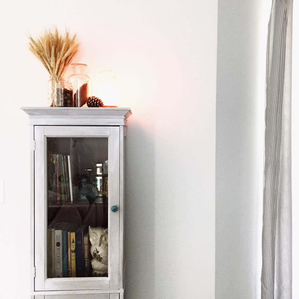 17155410_10154620196918842_4858571598977529013_n