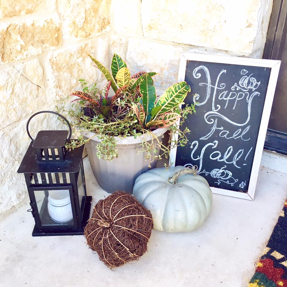 17155438_10154620197508842_4565568957694093016_n