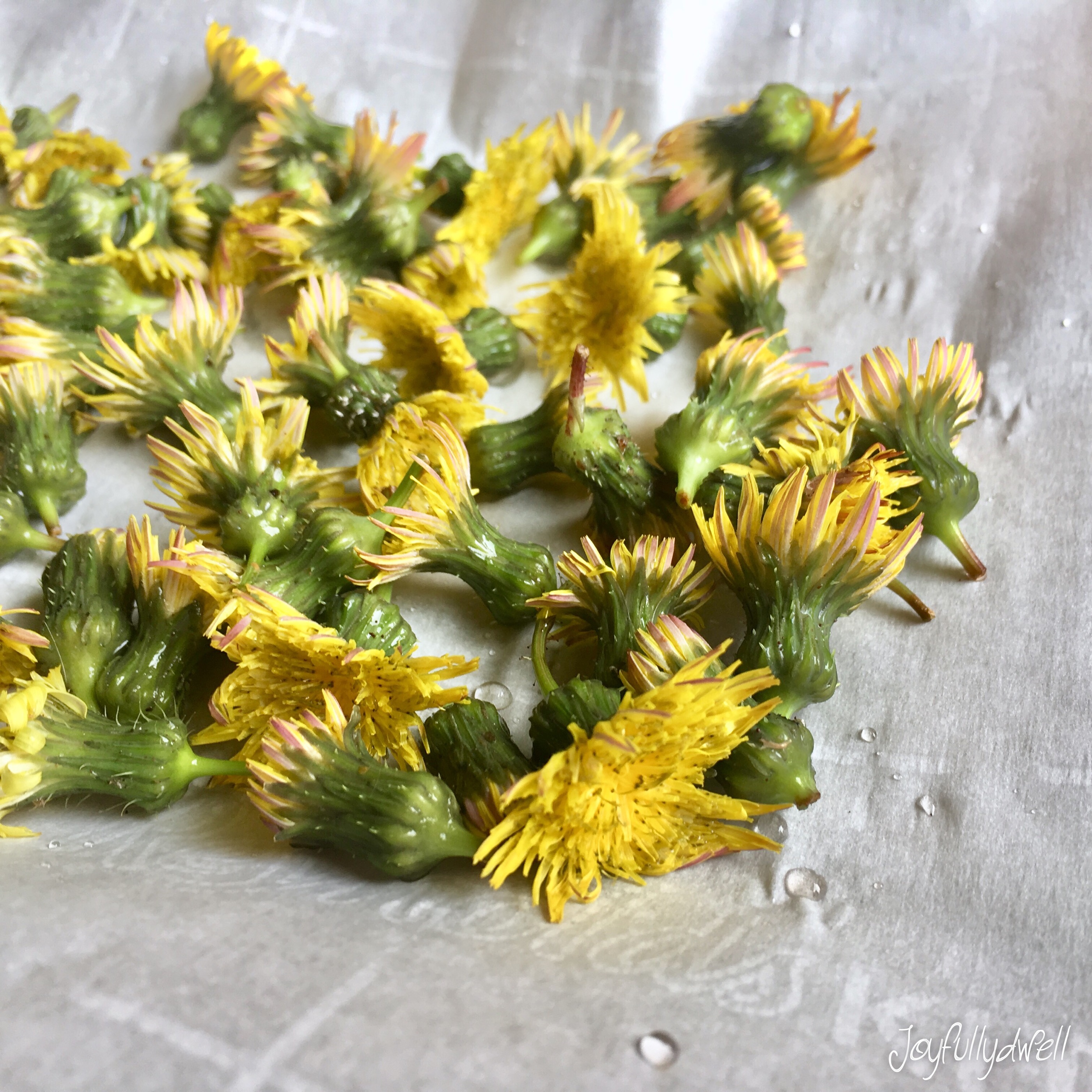 041C0EA8-4D49-45A4-9E61-559B35D0885B