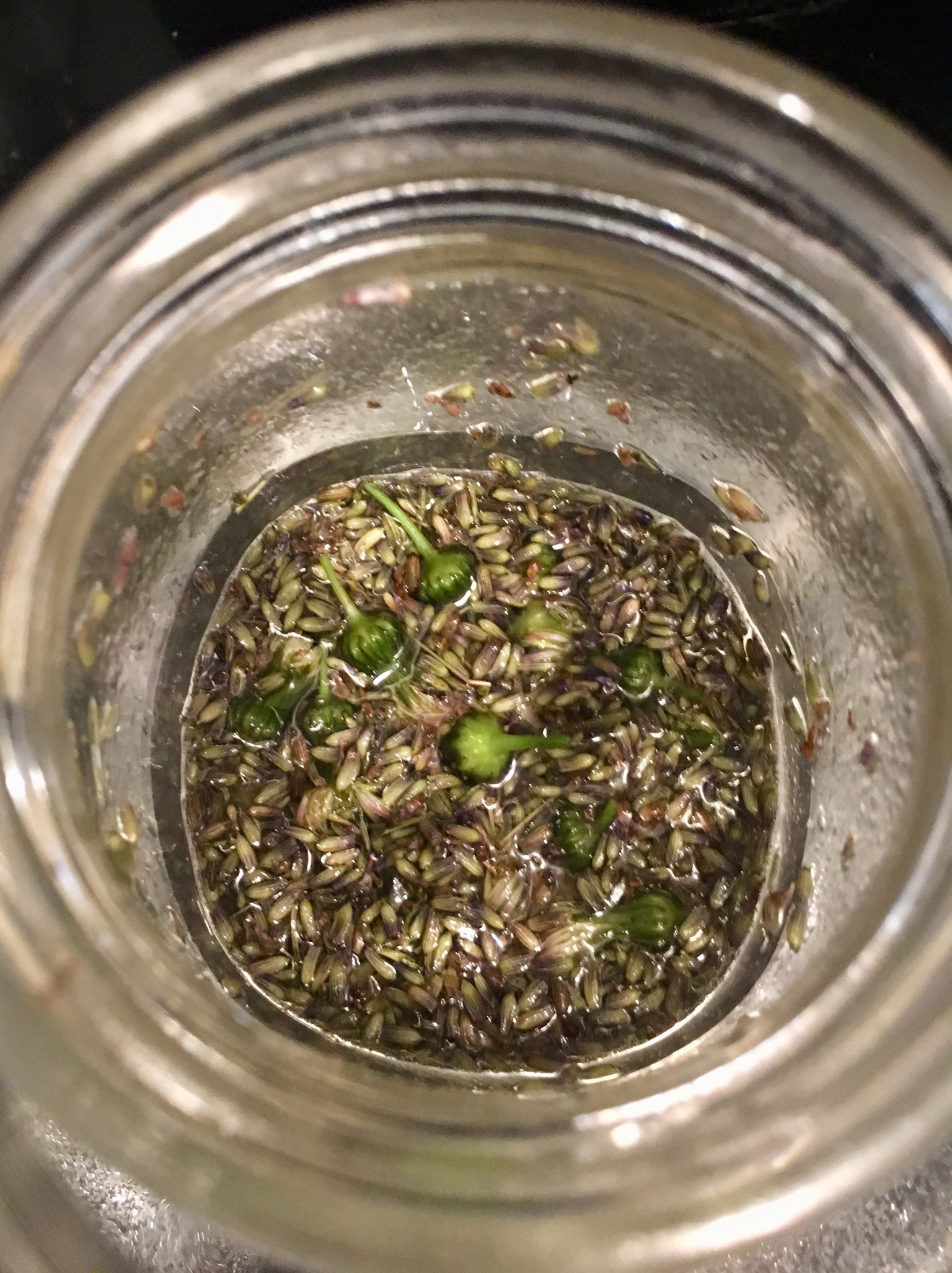 1533AA3B-5625-40B2-BA0F-04F3B614FB8A