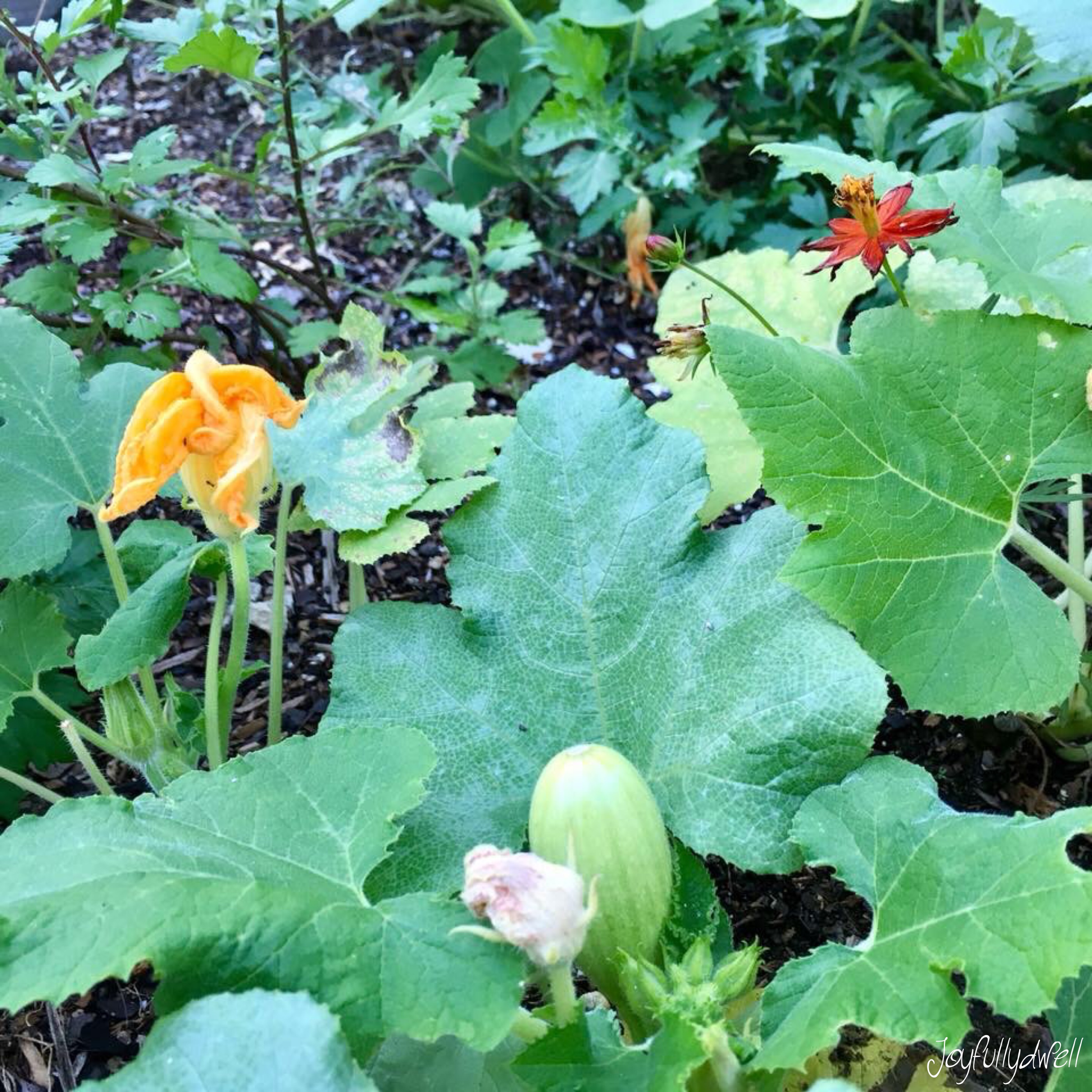 193F9DDE-1AFC-427F-A9FE-A5B6A5CDA41C