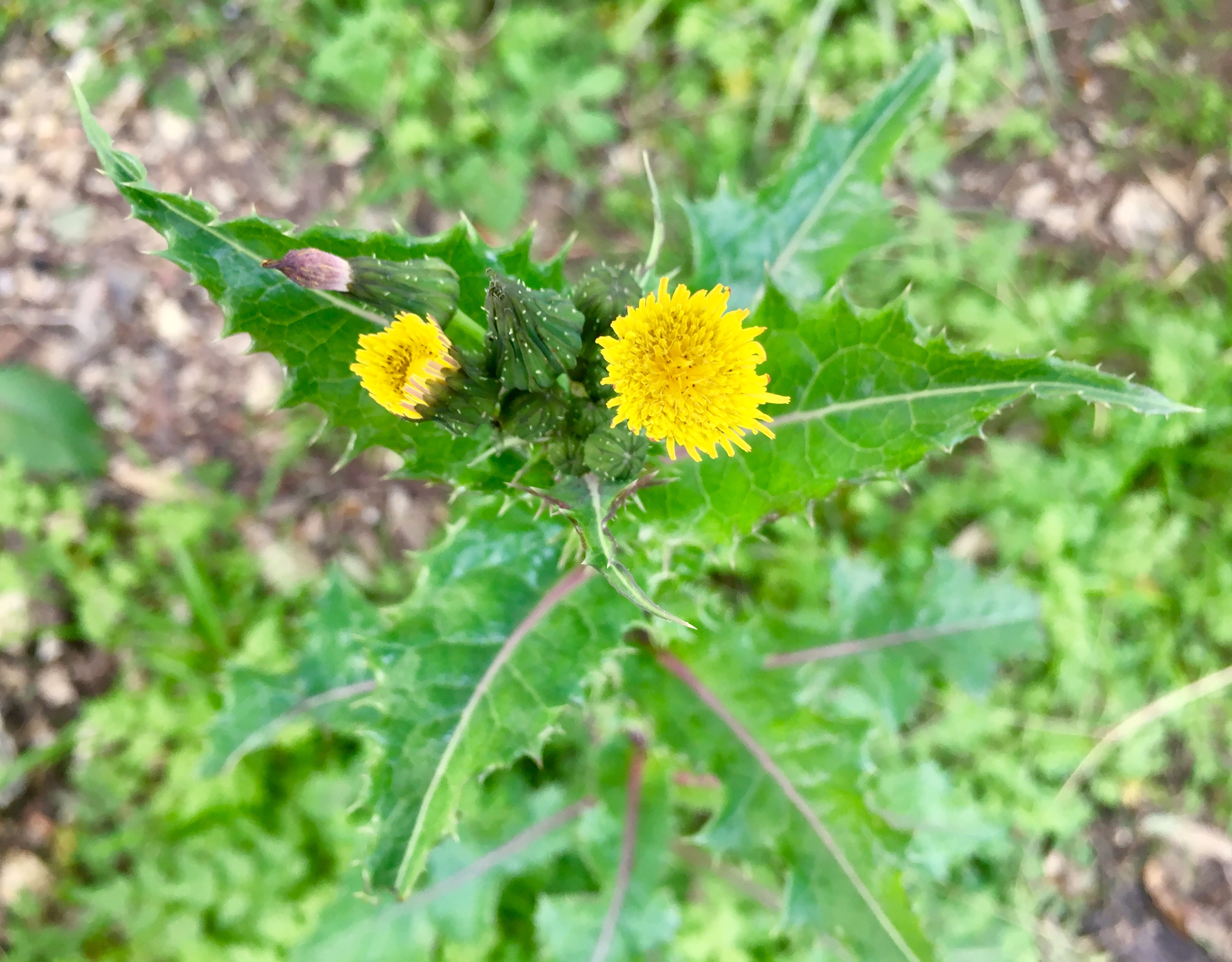 405DF5C4-7944-47EE-BCB6-93C4665663E8