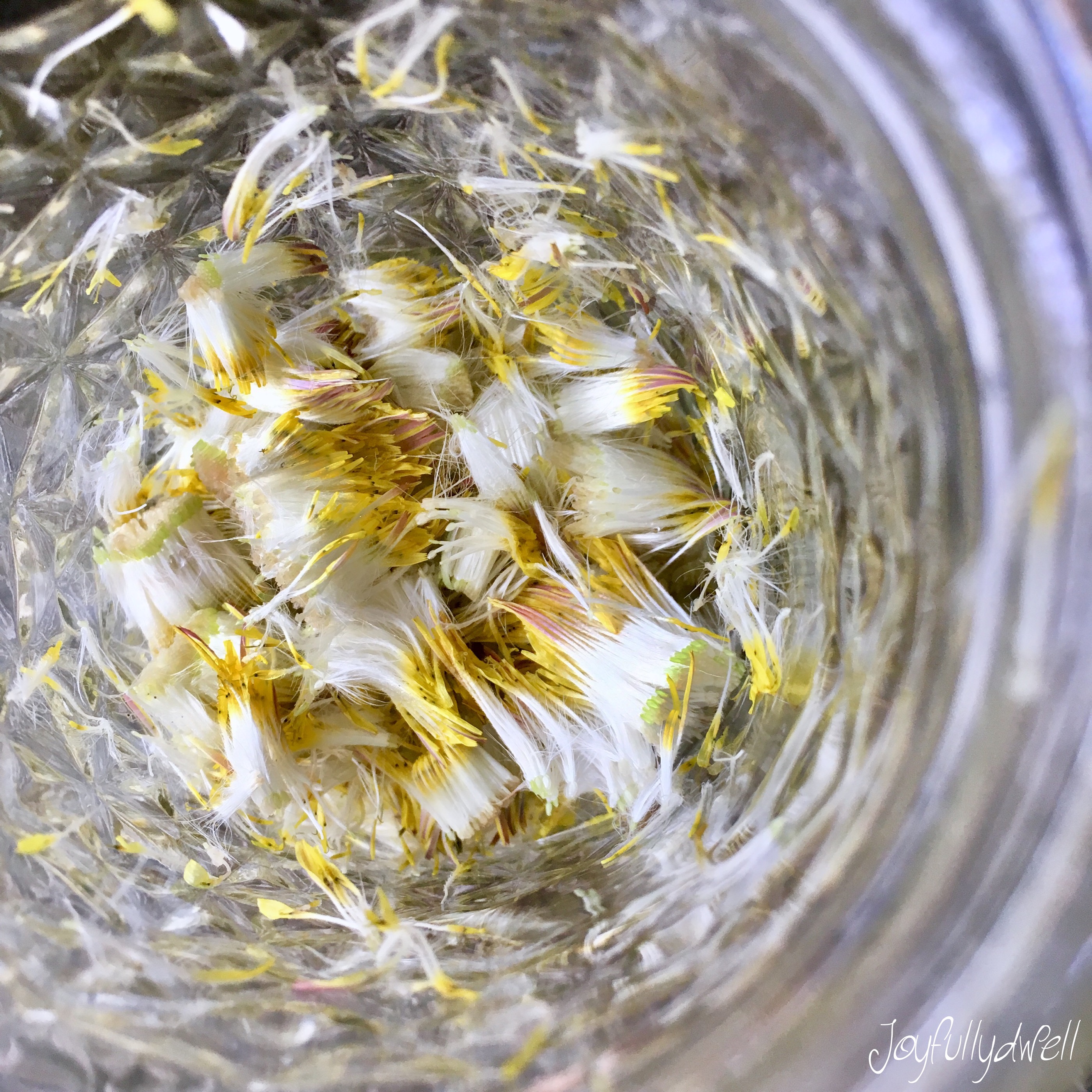 547C7D20-7268-4B90-8192-6630B4C1A1FD