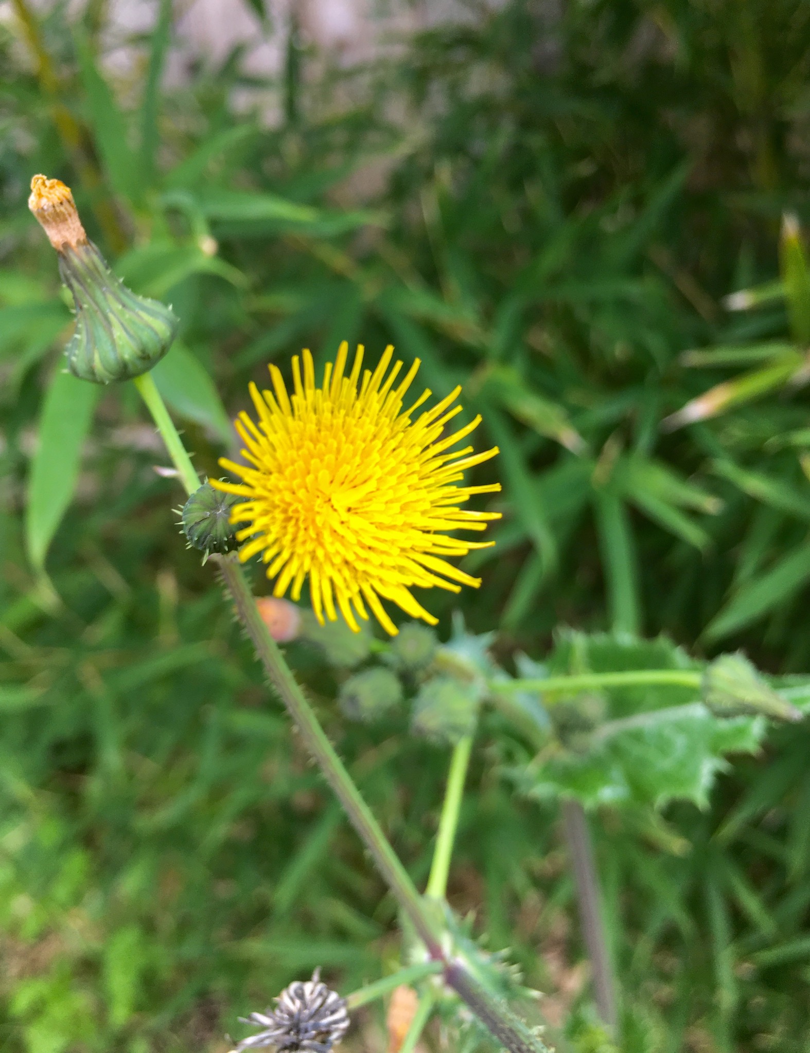 8F7E15D0-4409-4BB5-9D66-FCEDDCC5242A