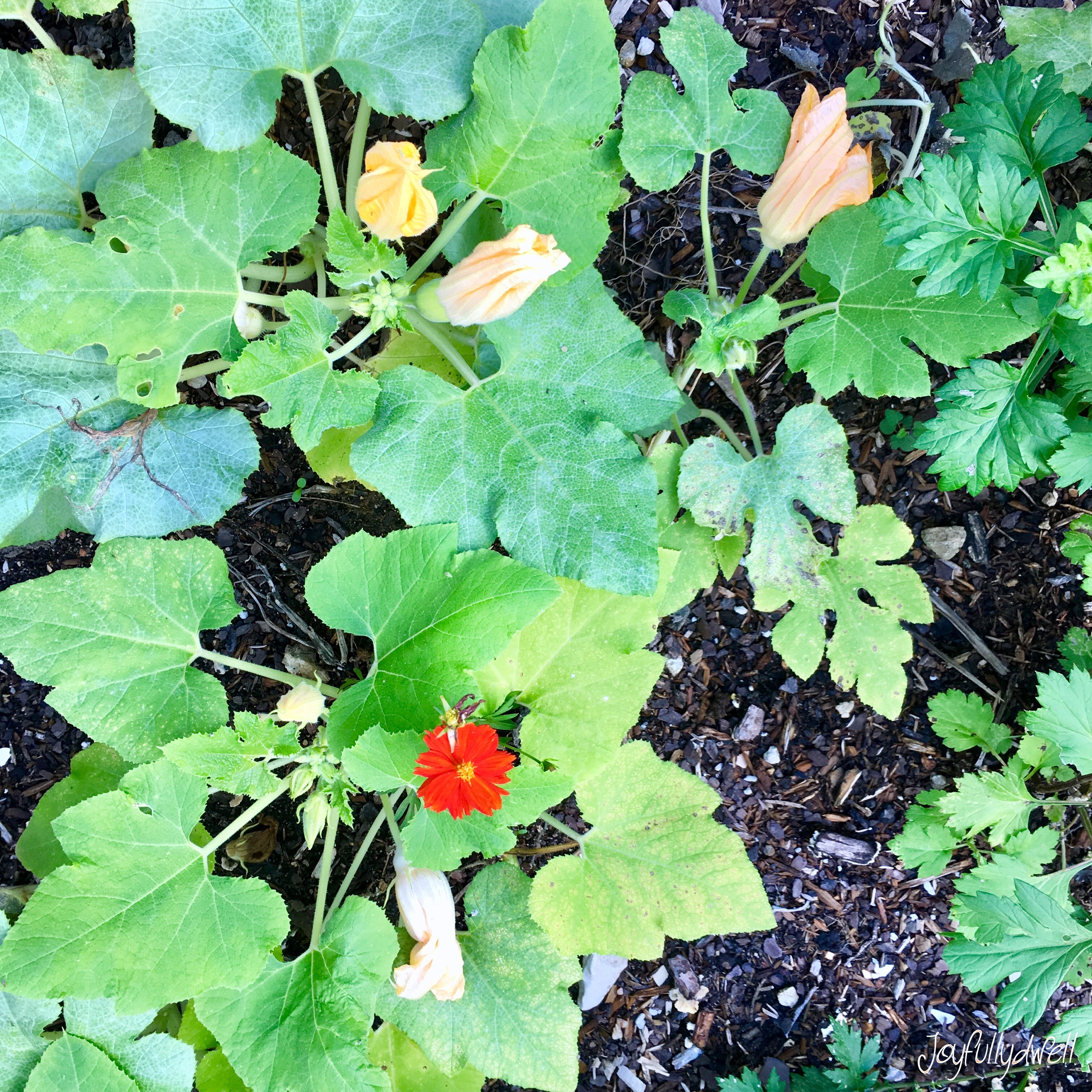 9CB3F163-DCAF-492F-8958-6AEAE2BD72BA