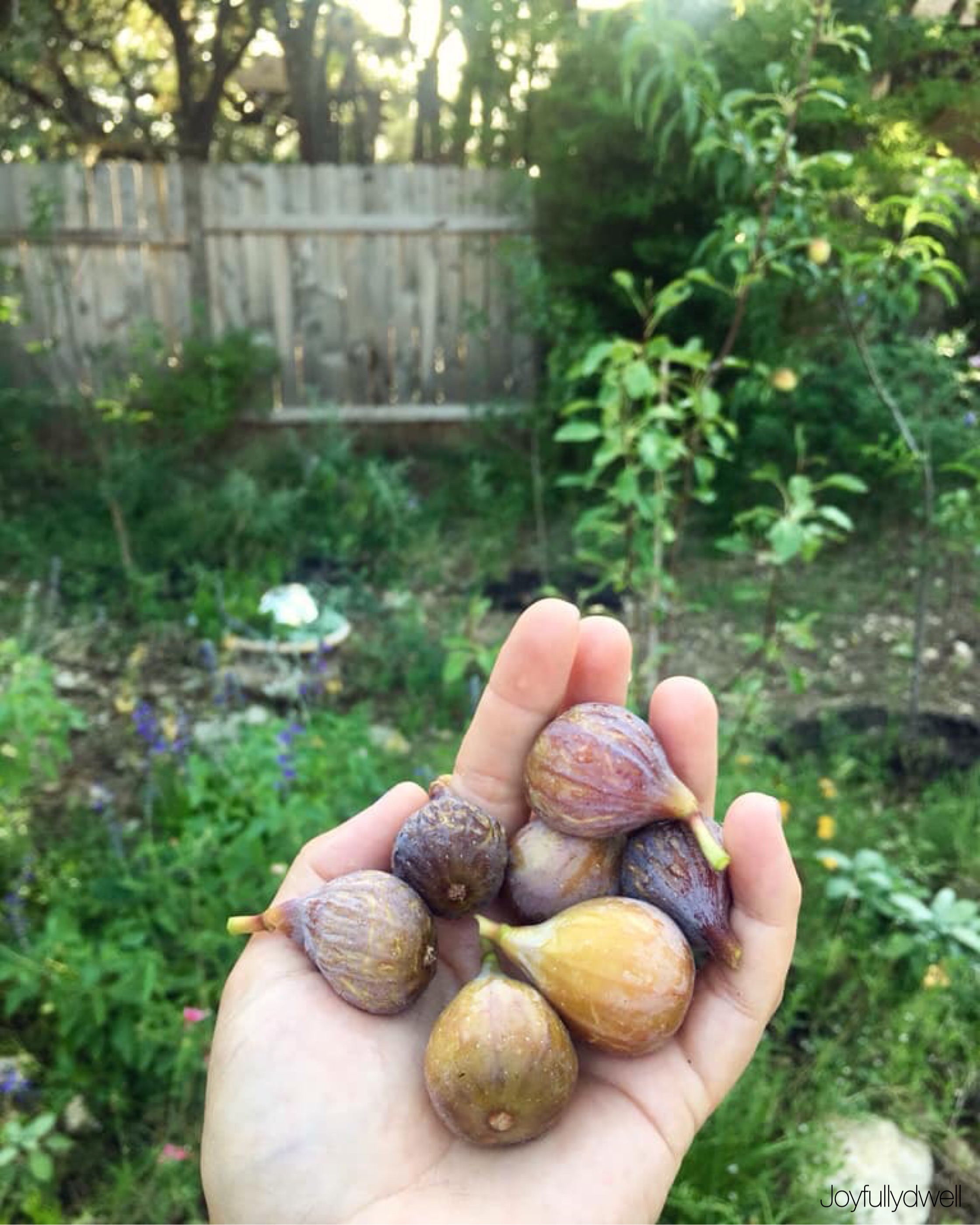 18BDEA64-05EF-433A-8EE0-0EADF7E6BE65