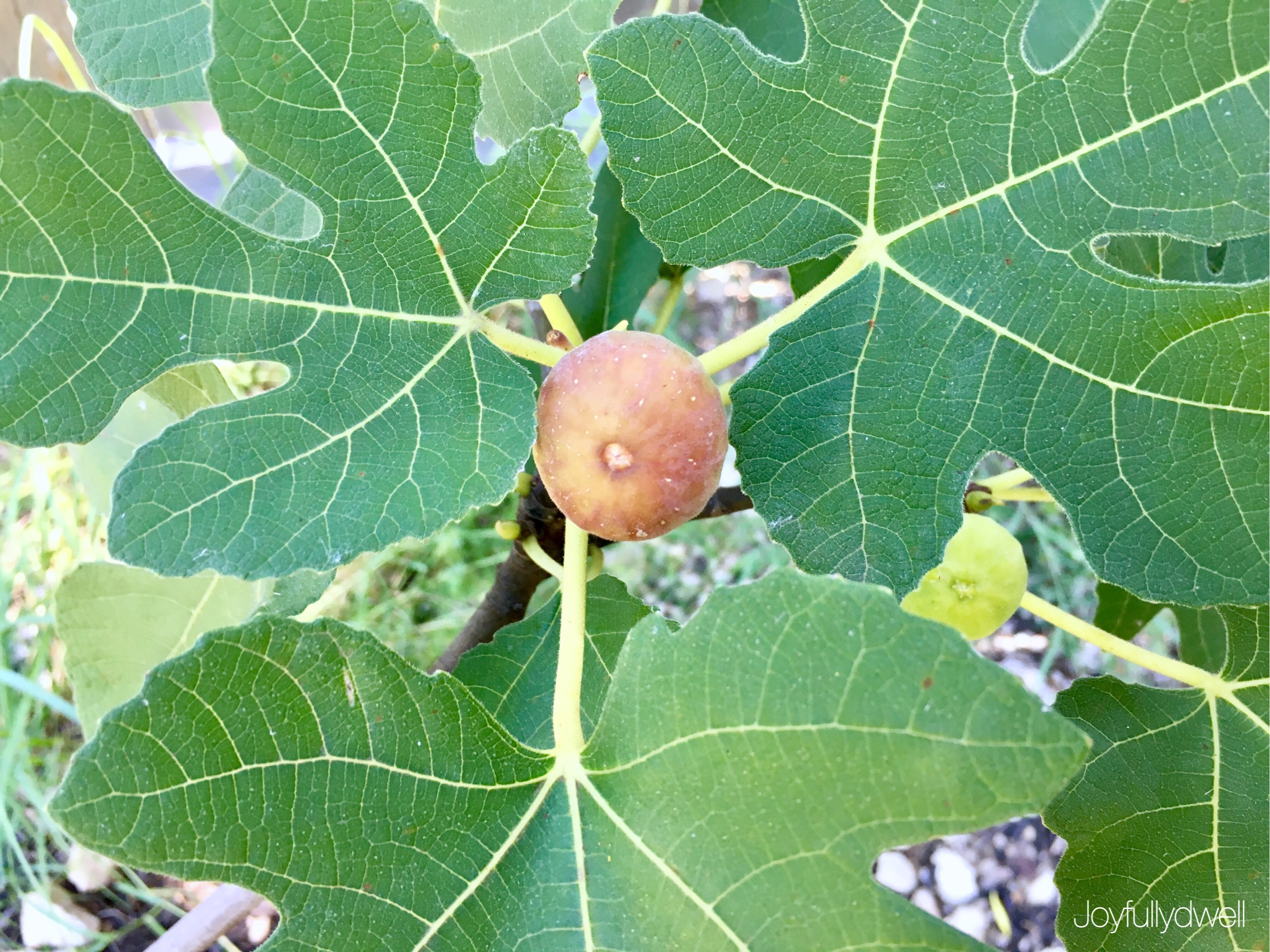 F119368B-2736-4015-A2E1-2EE6F2A0C5DD