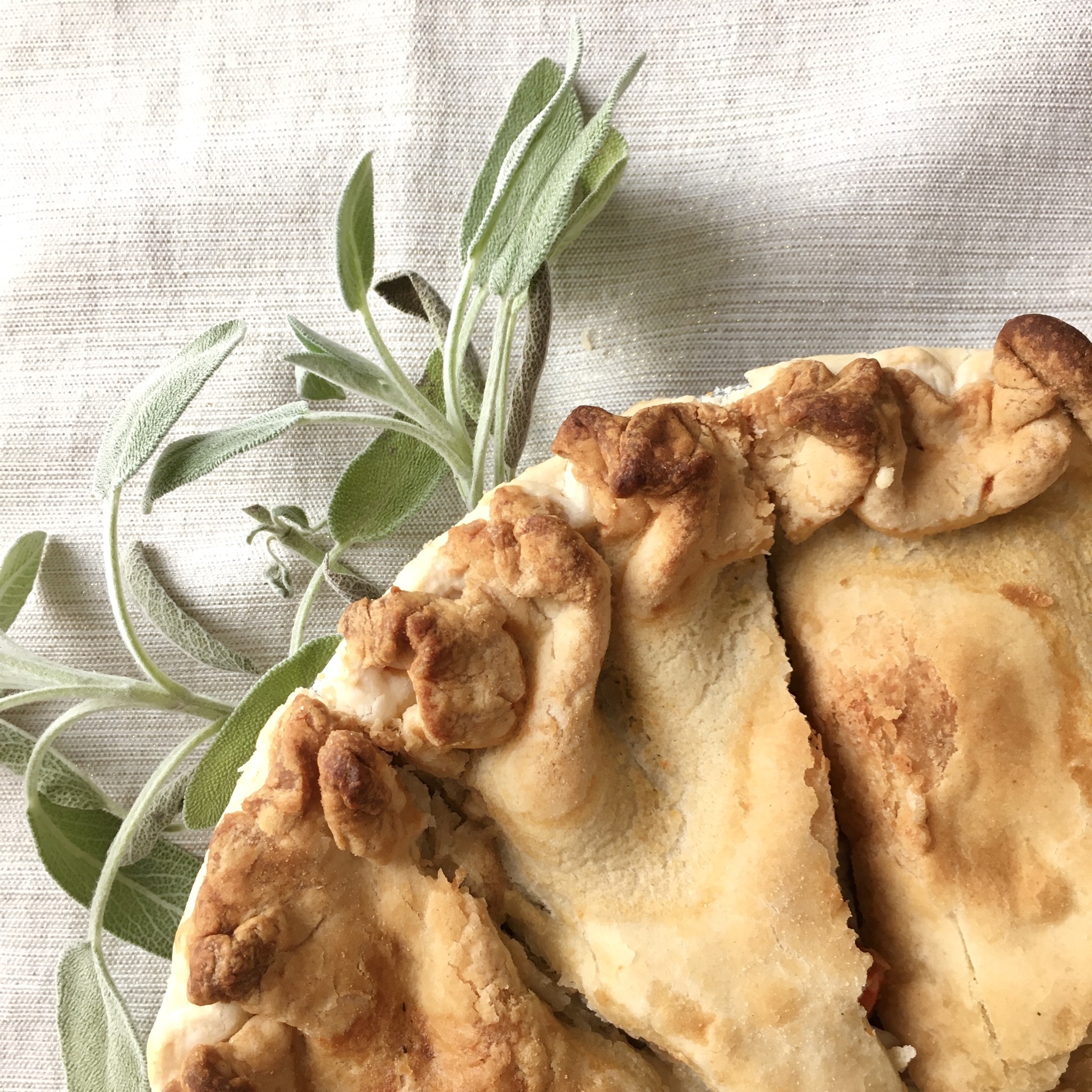 73FCD5C4-63A9-4598-BBE2-B01743268074