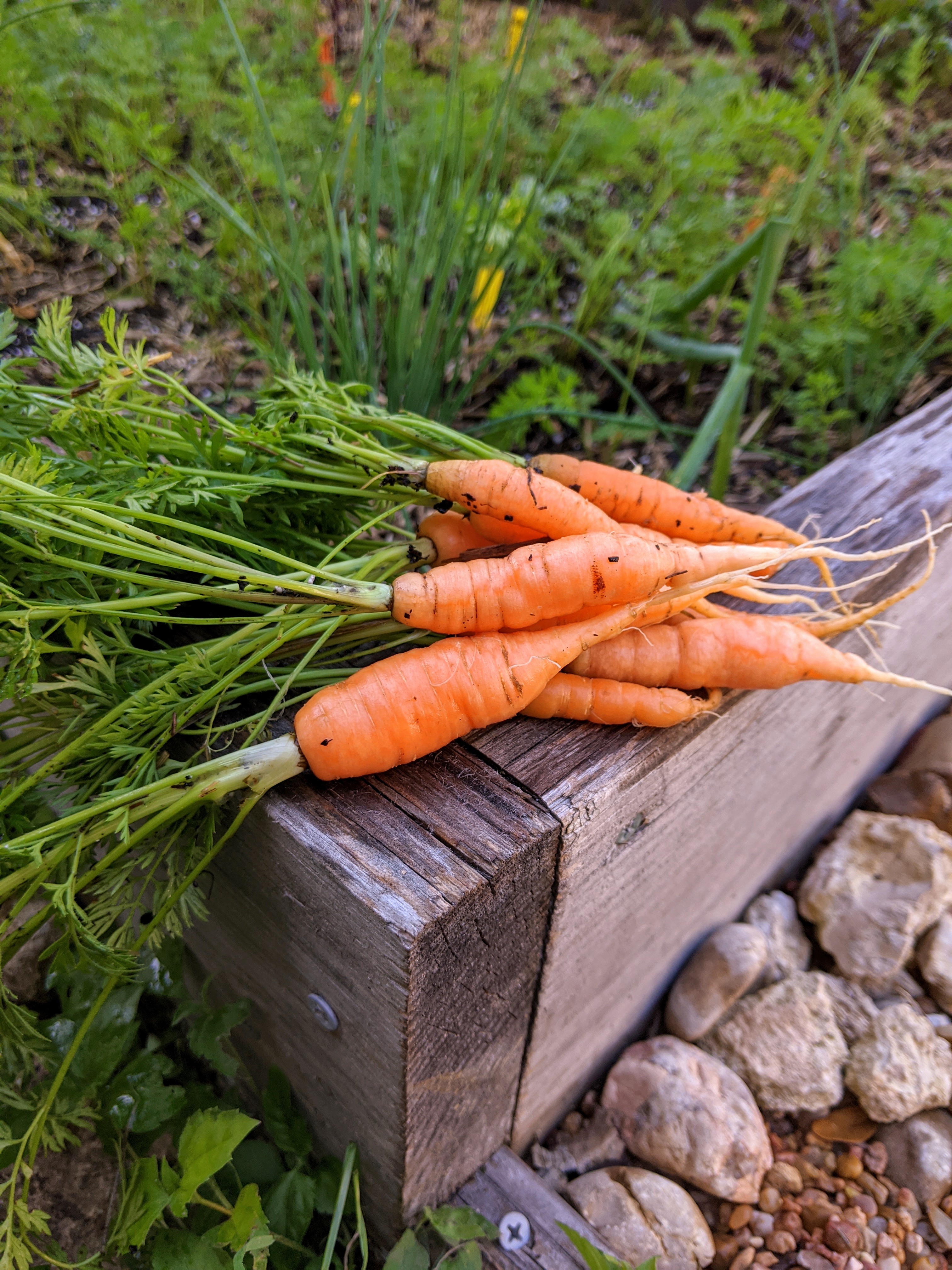 IMG_20200325_172906~2