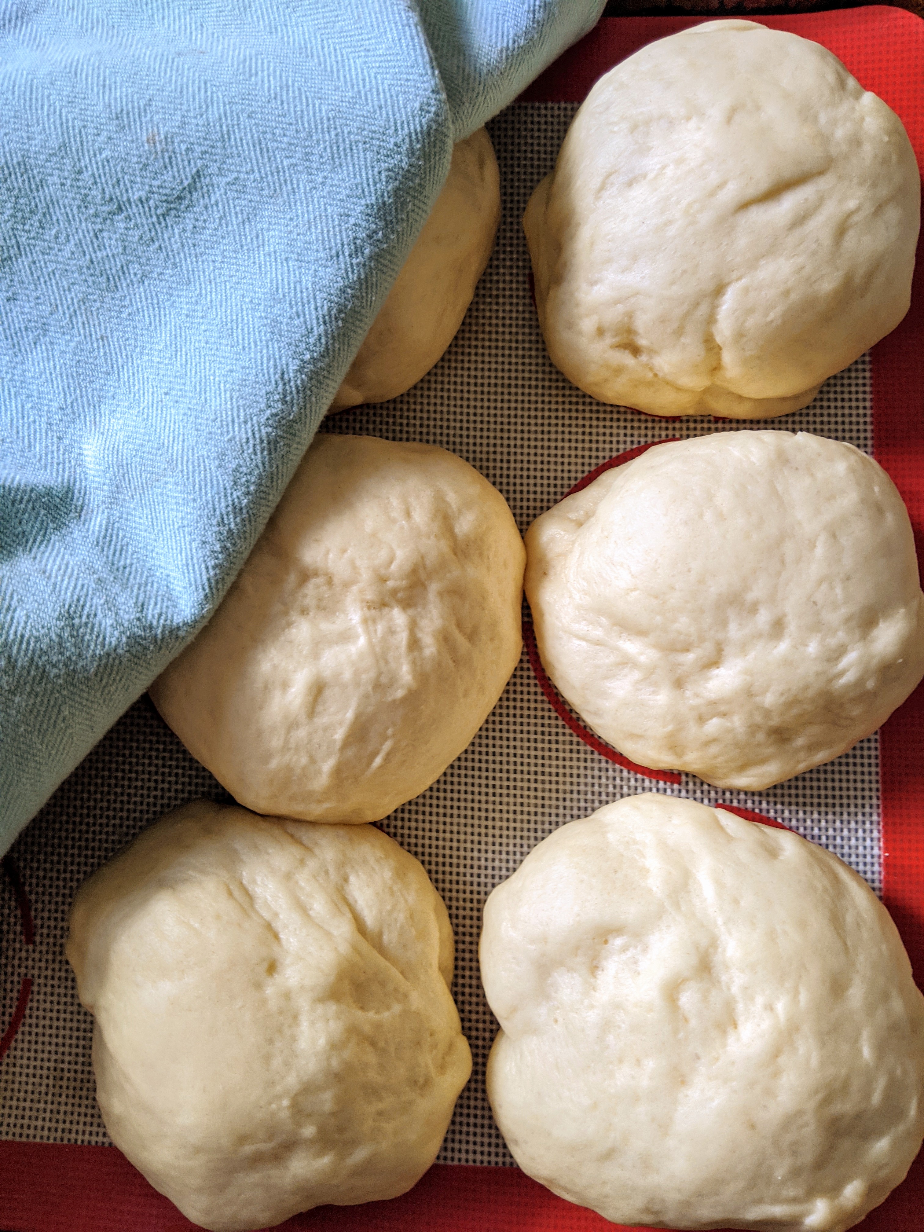 IMG_20200513_153333_1~2