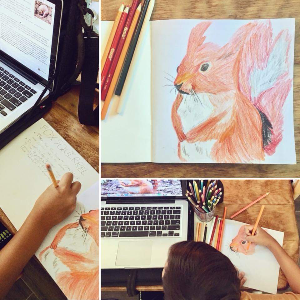 FB_IMG_1594190364594