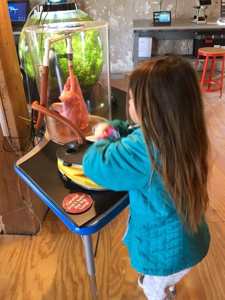 FB_IMG_1594241563104