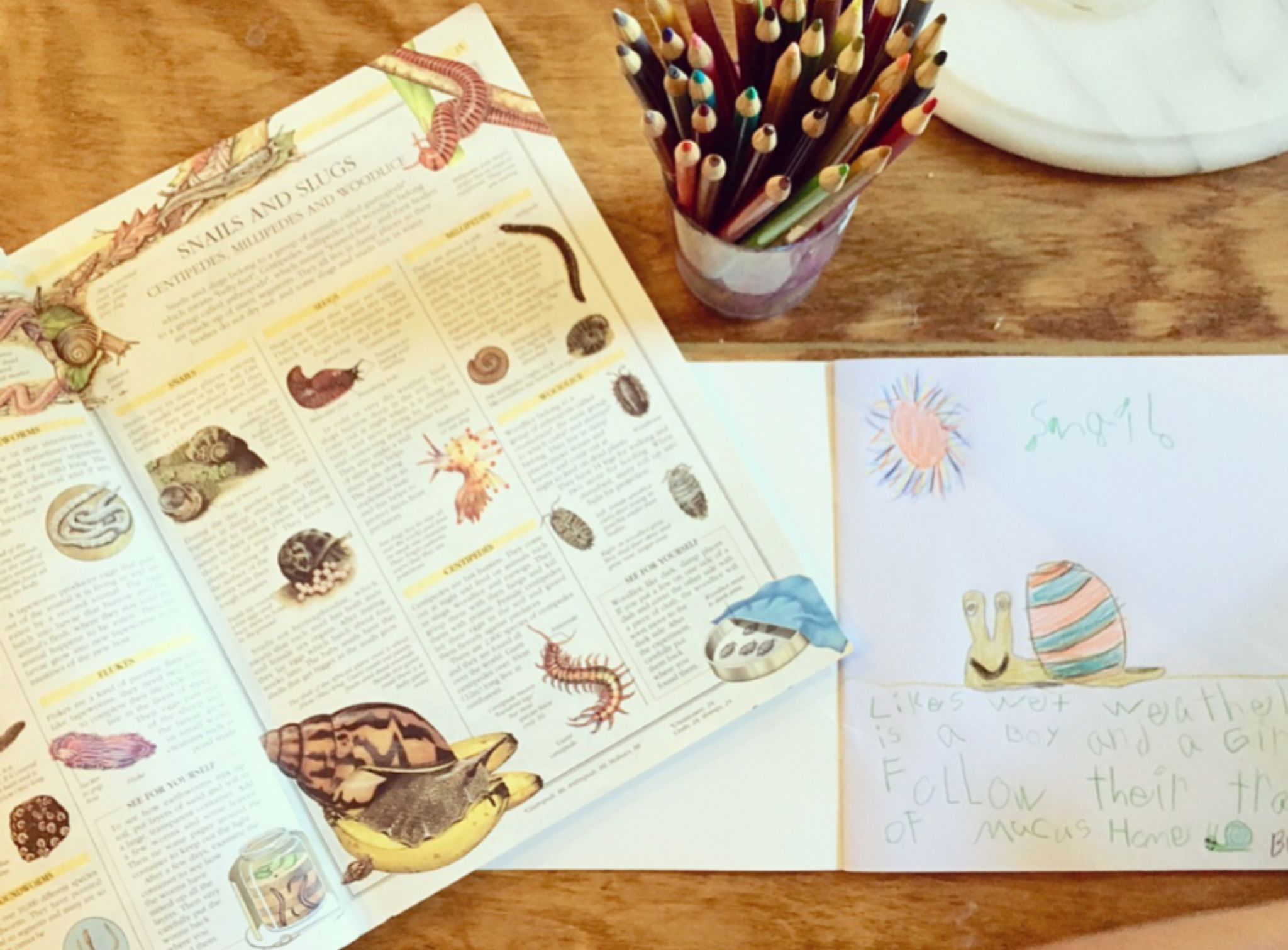 Screenshot_20200708-011128