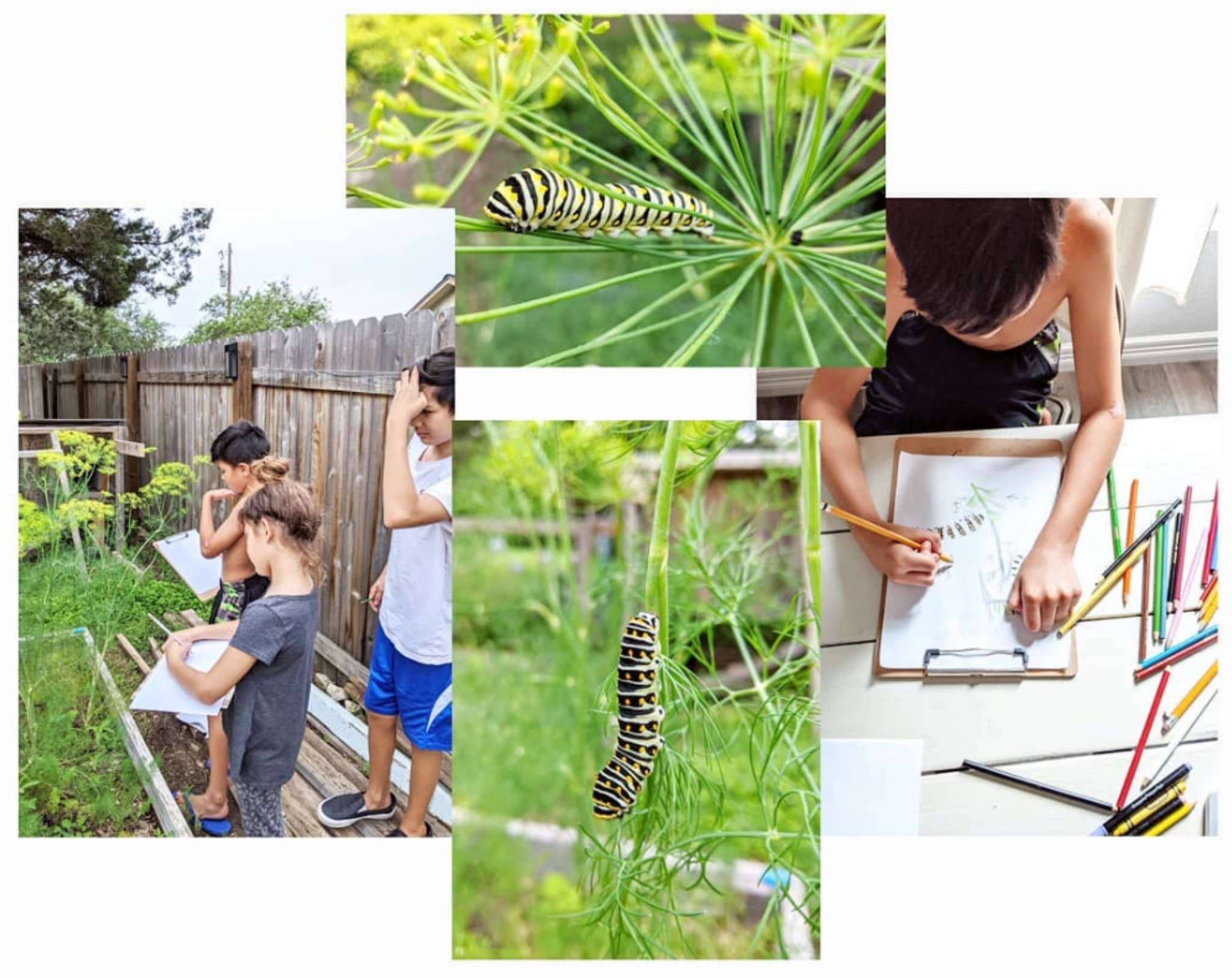 Screenshot_20200708-013246