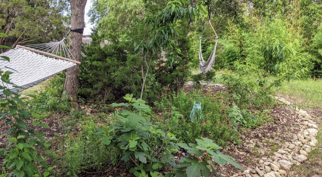 Backyard Transformation