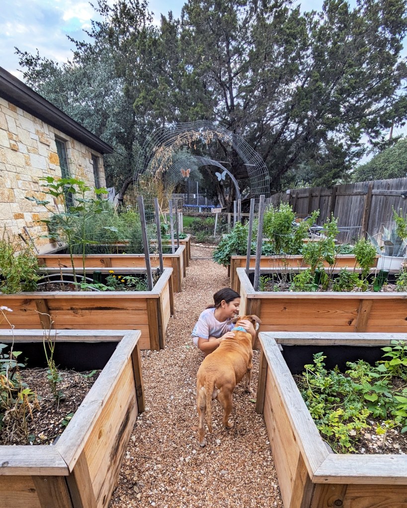 Hügelkultur Garden Beds